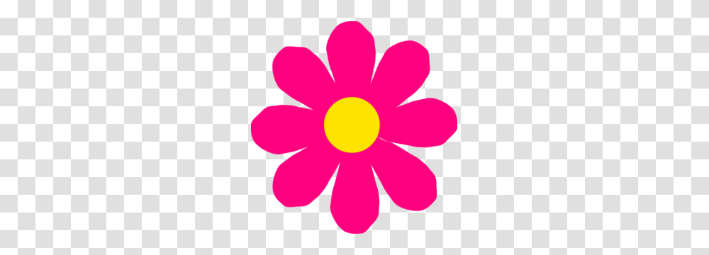 Bright Pink Flower Clip Art, Petal, Plant, Blossom, Daisy Transparent Png