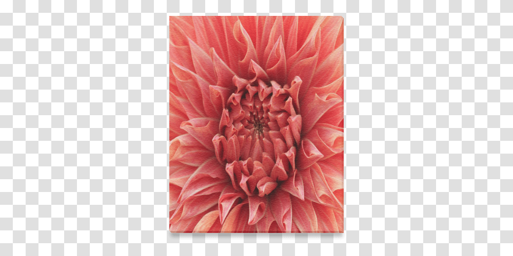 Bright Red Dahlia Flower Canvas Print 8, Plant, Blossom, Petal Transparent Png