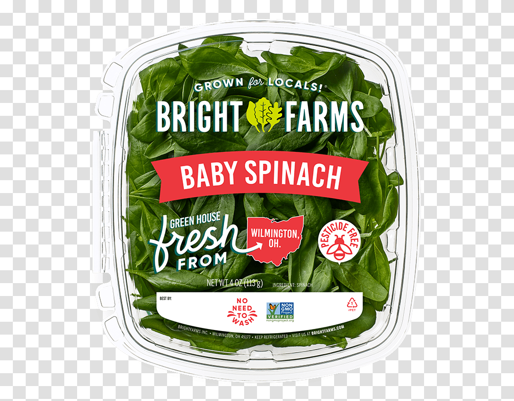 Brightfarms Baby Spinach Spinach, Plant, Vegetable, Food, Produce Transparent Png