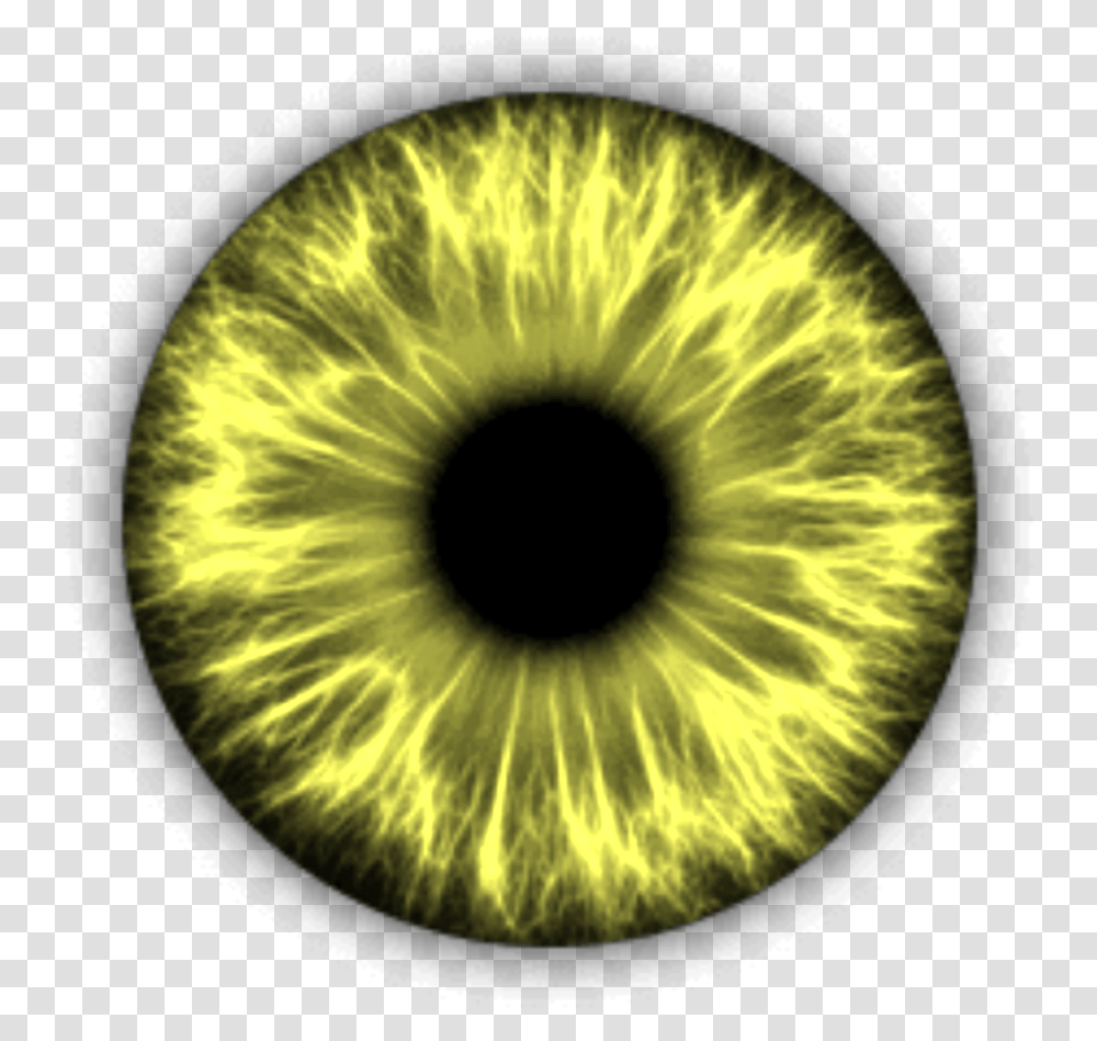 Brightyellow Eye Yellow Cat Eyes Eyes Editing, Pattern, Ornament, Moon, Outer Space Transparent Png