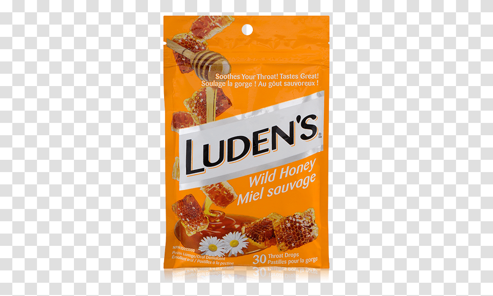 Bring Me The Horizon Ludens, Food, Snack, Poster, Advertisement Transparent Png