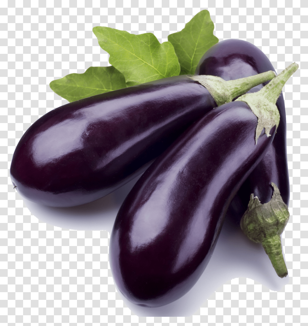 Brinjal Vegetables, Plant, Food, Eggplant Transparent Png