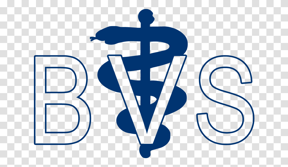 Brink Veterinary Service Veterinary Symbol, Cross, Alphabet, Logo Transparent Png
