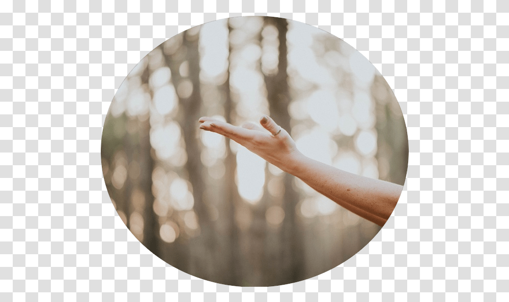Brisbane Psychologists Qualia Psychology Reiki, Finger, Person, Hand, Leisure Activities Transparent Png