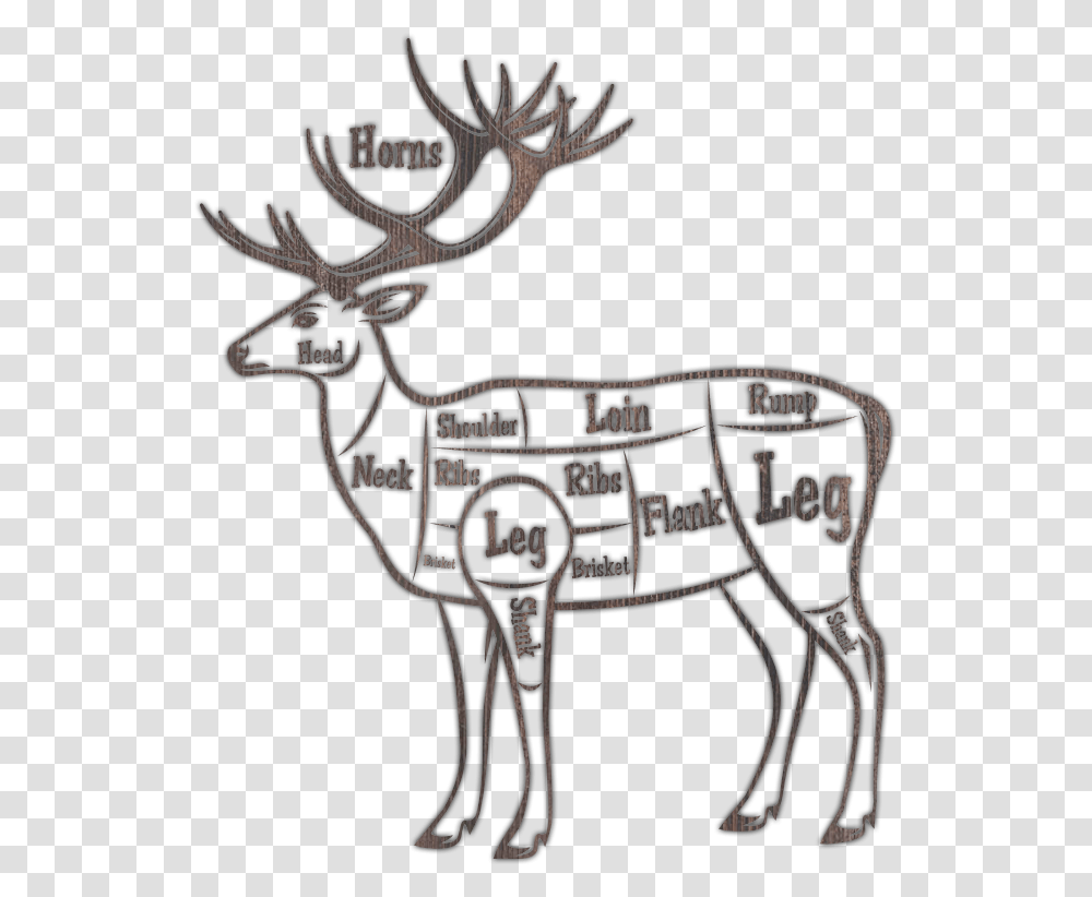 Brisket On A Deer, Elk, Wildlife, Mammal, Animal Transparent Png