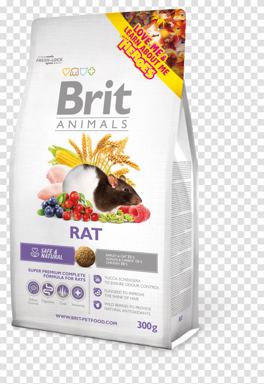 Brit Animals Rat, Mammal, Rodent, Bird, Poster Transparent Png