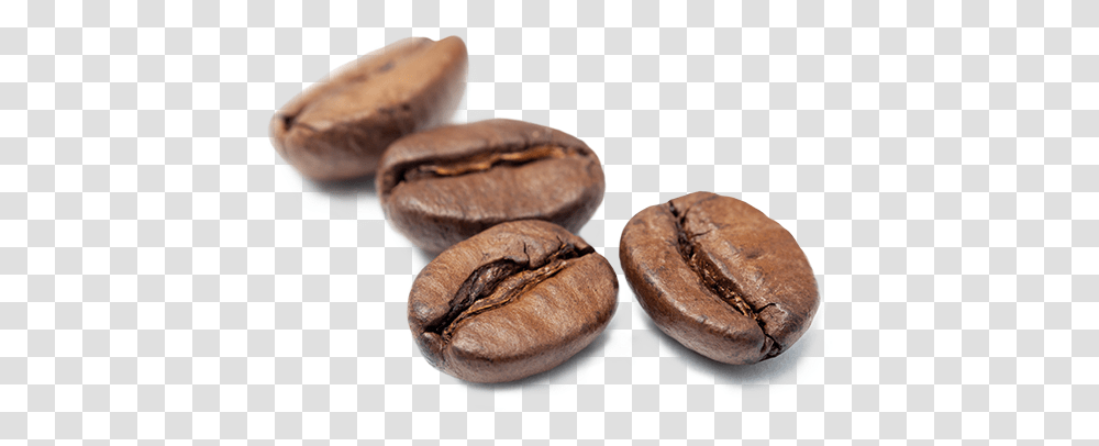 Brita Coffee Coffee Beans Granos De Cafe, Plant, Vegetable, Food, Pecan Transparent Png