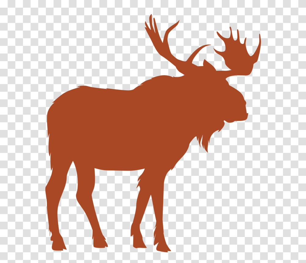 British Columbia Moose Hunting Photos, Maroon, Rug Transparent Png