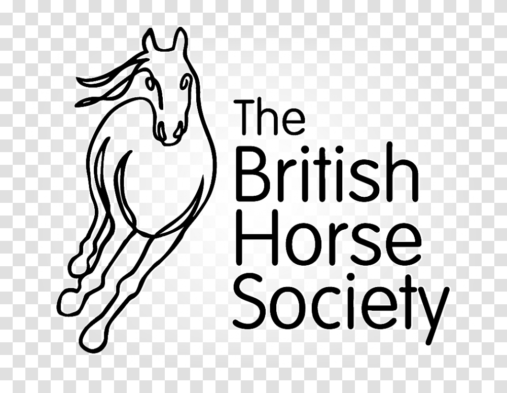 British Horse Society, Mammal, Animal, Label Transparent Png