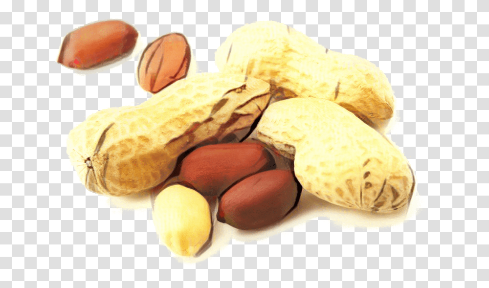 Brittle Peanut Oil Peanut Butter And Jelly Sandwich Groundnut Grain, Plant, Vegetable, Food, Bread Transparent Png