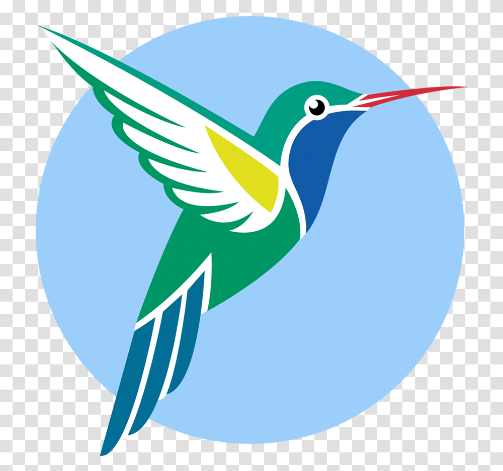 Broad Billed Hummingbird Vector Graphics Ruby Throated, Animal, Bluebird, Jay Transparent Png