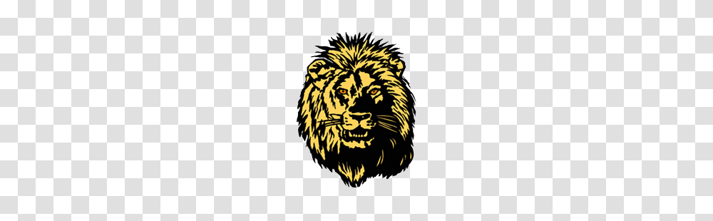 Broadcast, Wildlife, Animal, Mammal, Lion Transparent Png