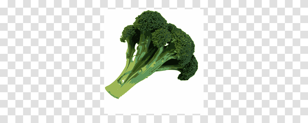 Broccoli Vegetable, Plant, Food, Axe Transparent Png