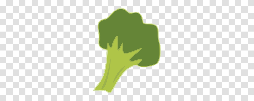 Broccoli Food, Plant, Vegetable, Produce Transparent Png