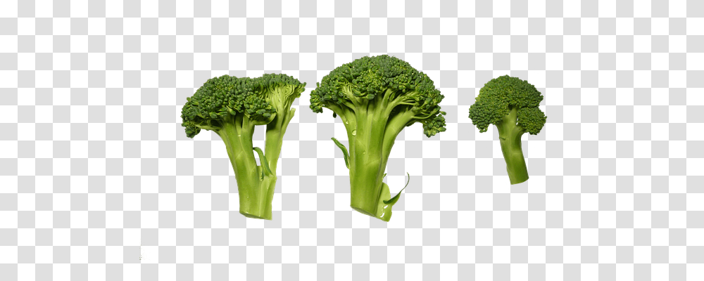 Broccoli Food, Plant, Vegetable Transparent Png