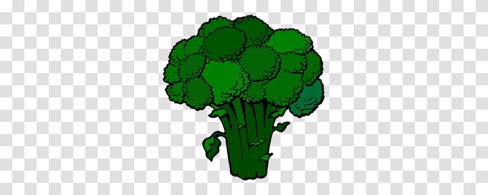 Broccoli Food, Plant, Vegetable Transparent Png