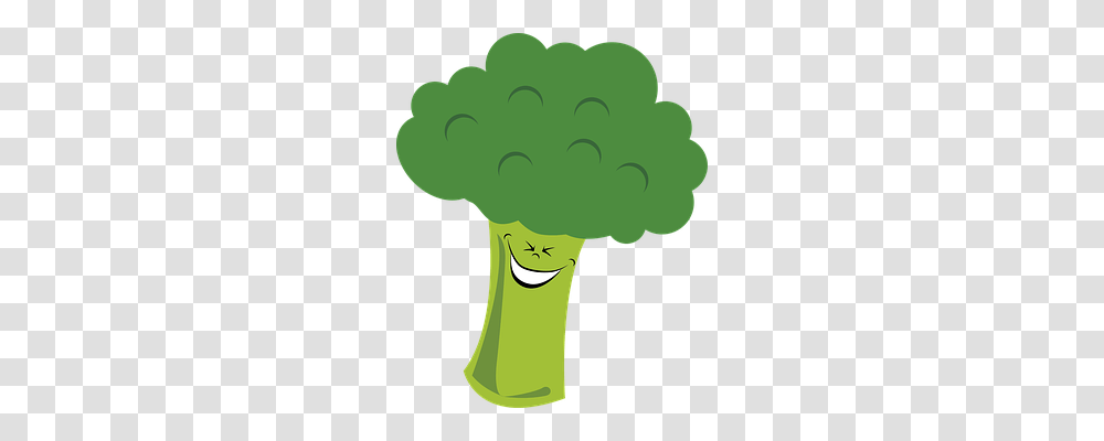 Broccoli Food, Plant, Vegetable Transparent Png