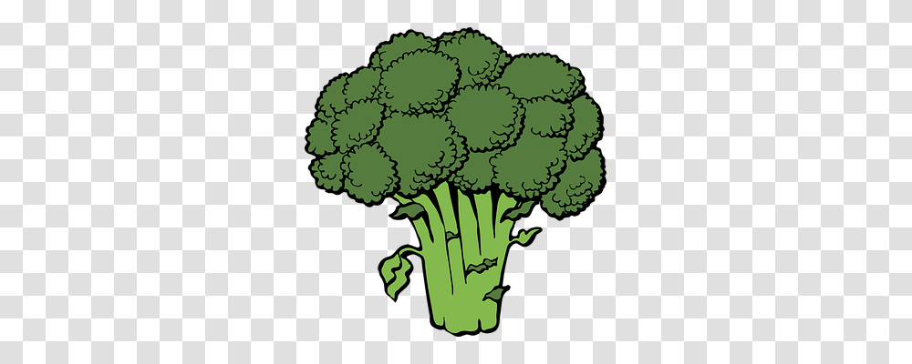 Broccoli Food, Plant, Vegetable Transparent Png