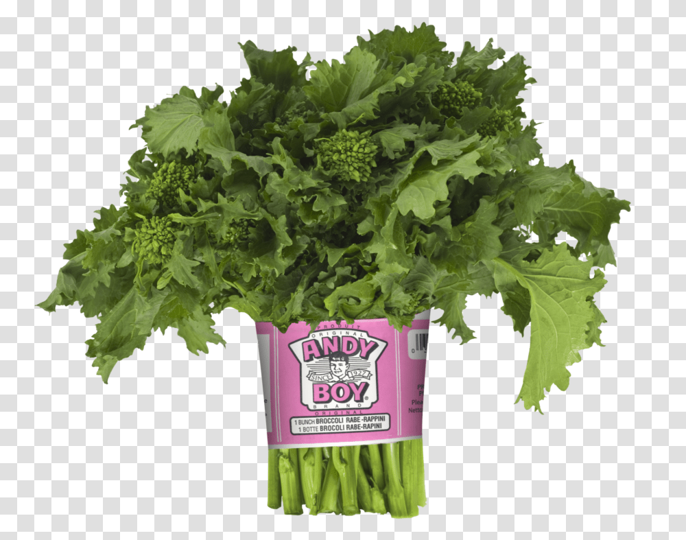 Broccoli Andy Boy Broccoli Rabe, Kale, Cabbage, Vegetable, Plant Transparent Png