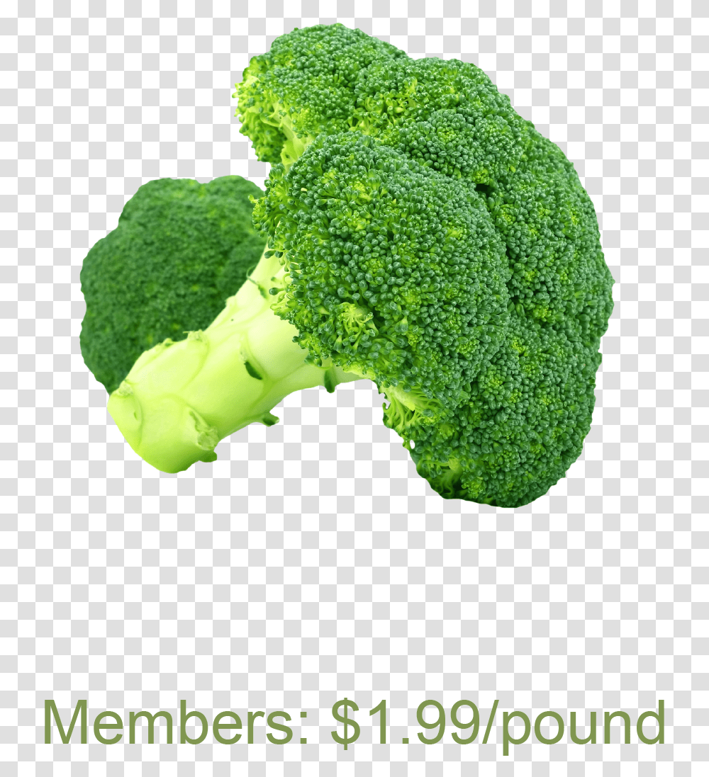 Broccoli Brcoli, Plant, Vegetable, Food Transparent Png
