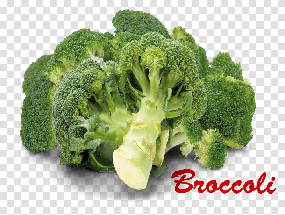 Broccoli Broccoli Images With Names, Plant, Vegetable, Food Transparent Png