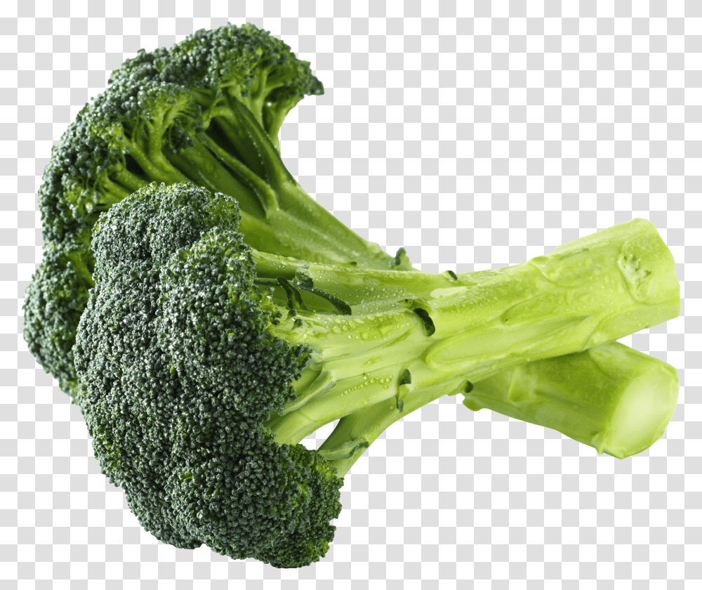 Broccoli Broccoli, Plant, Vegetable, Food, Lizard Transparent Png