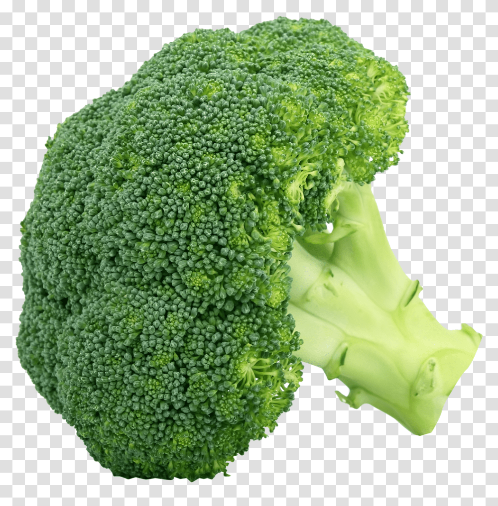 Broccoli Broccoli Vegetables, Plant, Food Transparent Png