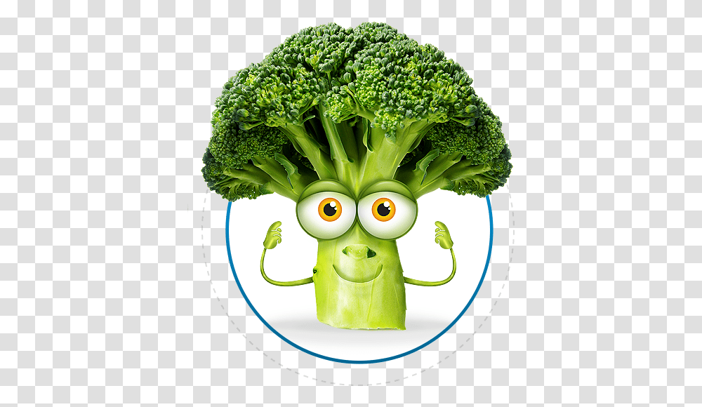 Broccoli Brocolli, Plant, Vegetable, Food Transparent Png