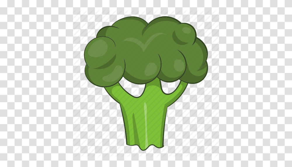 Broccoli Cabbage Cartoon Food Fresh Green Organic Icon, Plant, Vegetable, Cauliflower Transparent Png