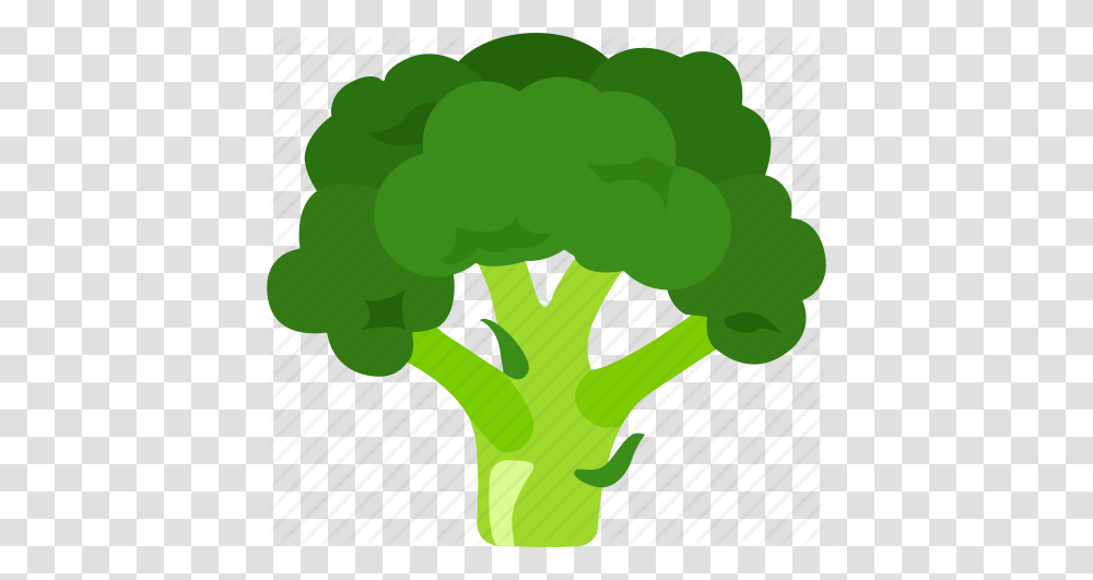 Broccoli Calabrese Cauliflower Head Sprout Sprouting Icon, Plant, Vegetable, Food Transparent Png