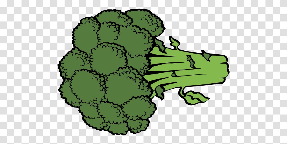 Broccoli Clip Arts For Web, Plant, Vegetable, Food, Produce Transparent Png