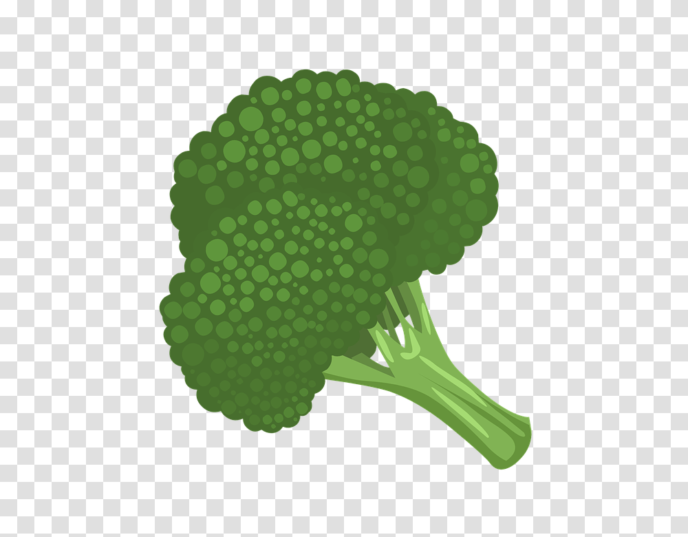 Broccoli Clipart Cute, Plant, Vegetable, Food, Cauliflower Transparent Png