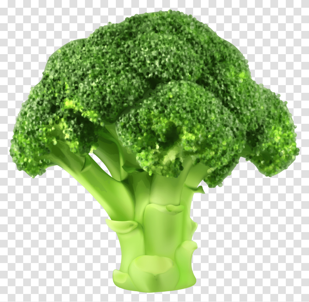 Broccoli Clipart Free Broccoli Illustration Transparent Png