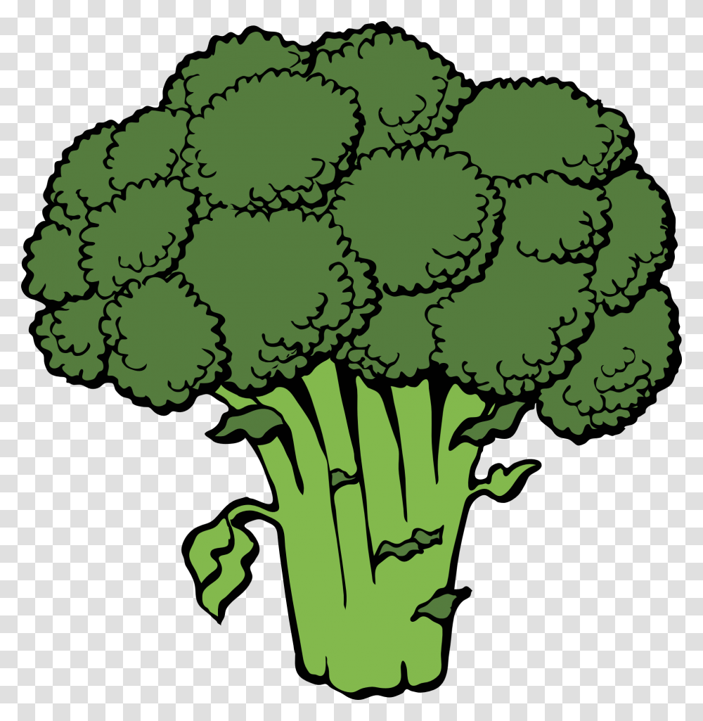 Broccoli Clipart, Plant, Vegetable, Food Transparent Png