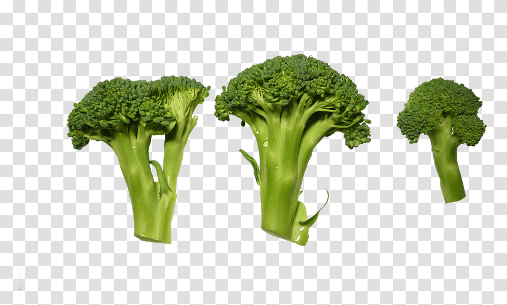 Broccoli Clippings Vegetables Verduras, Plant, Food, Vegetation, Green Transparent Png