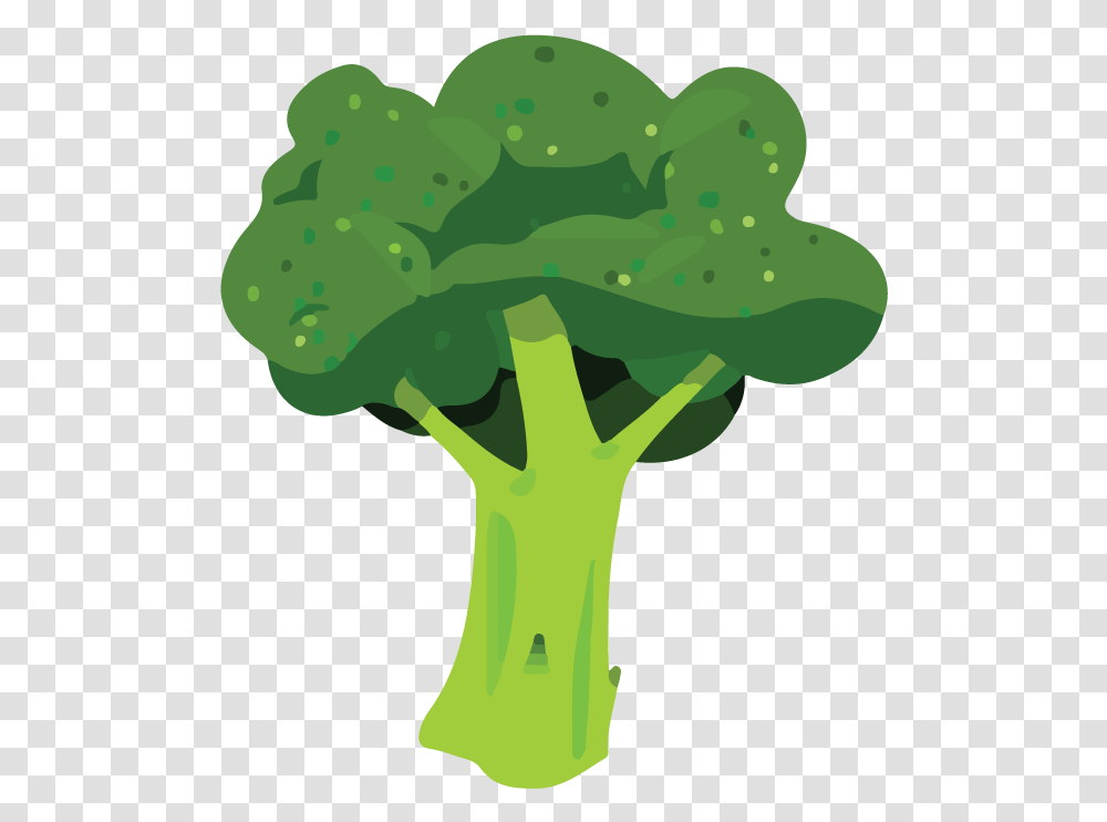 Broccoli Cost Effective Health Foods Illustration, Plant, Vegetable Transparent Png