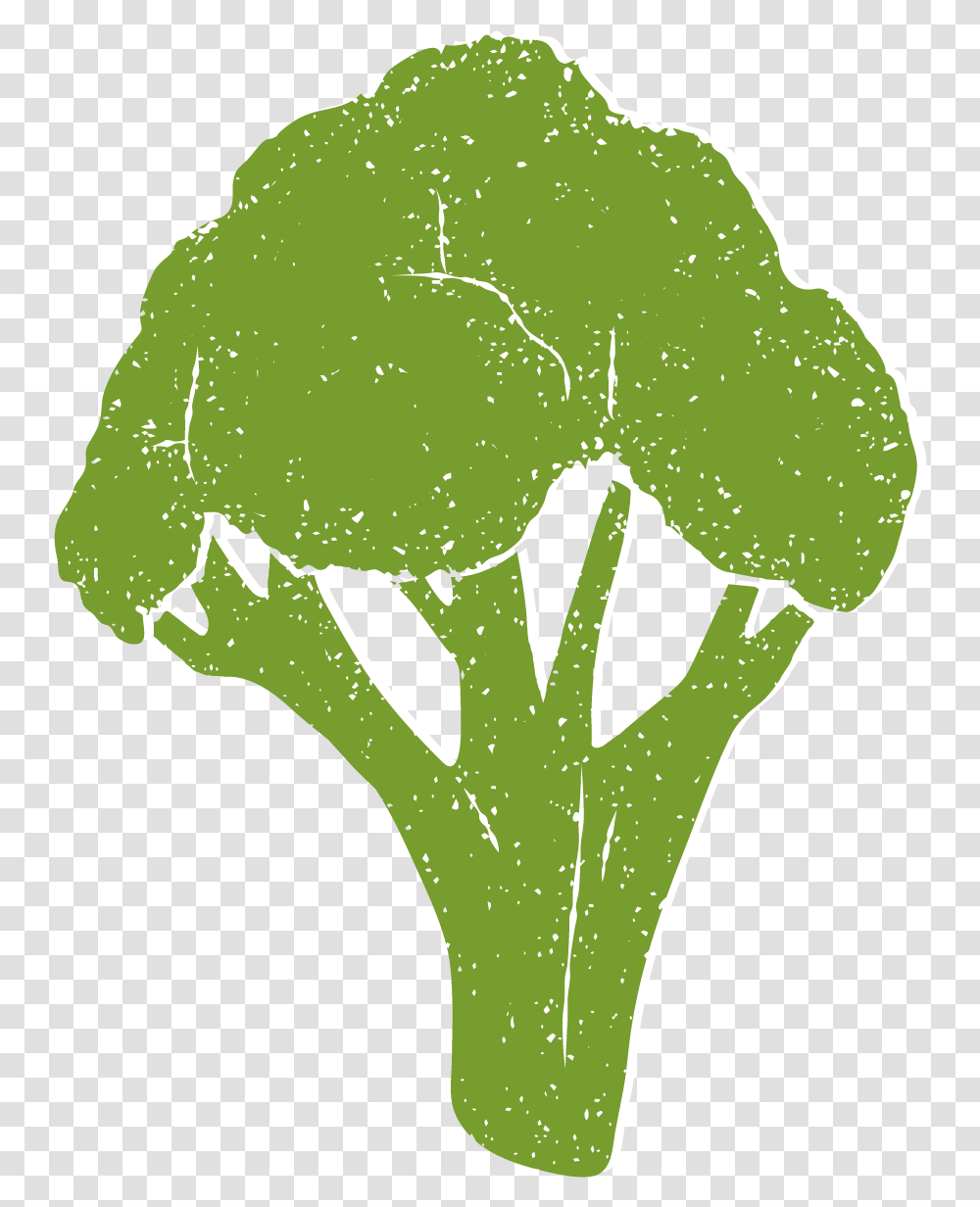 Broccoli Download, Plant, Vegetable, Food, Cauliflower Transparent Png