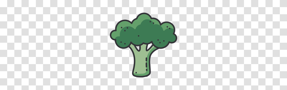 Broccoli Flat Circle Icon, Plant, Vegetable, Food, Vegetation Transparent Png