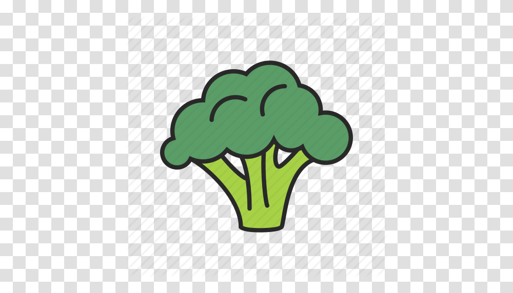 Broccoli Food Healthy Vegetable Vegetarian Icon, Plant, Cauliflower, Artichoke, Produce Transparent Png