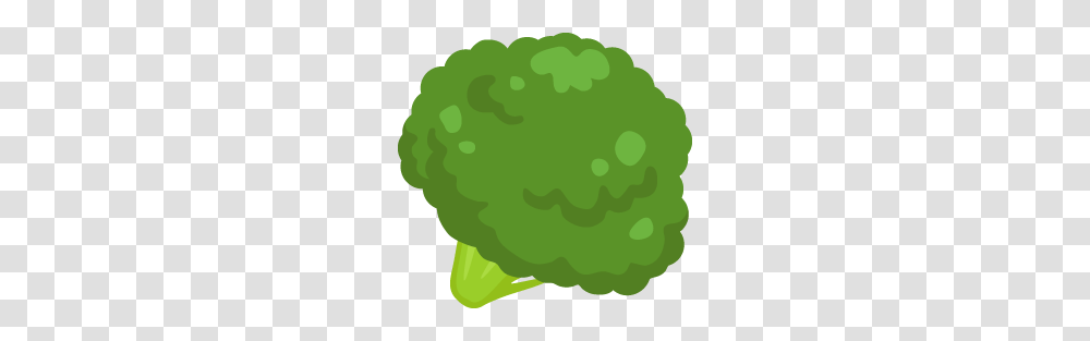 Broccoli Free And Vector, Plant, Green, Vegetable, Food Transparent Png