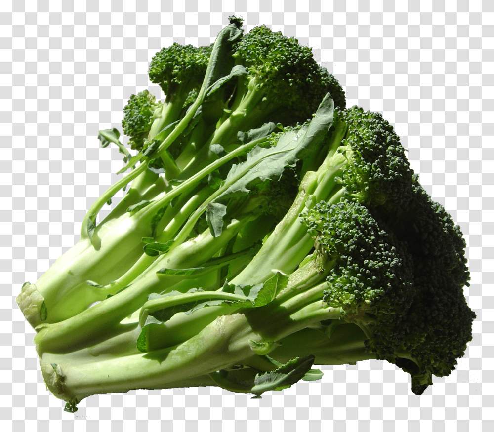 Broccoli Fruits Used As Vegetables Transparent Png