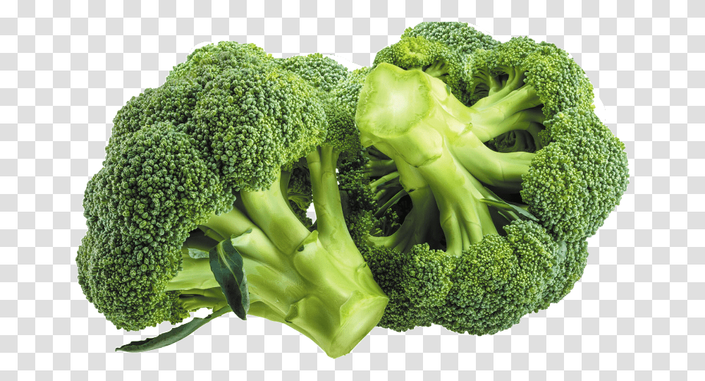 Broccoli Good For You, Vegetable, Plant, Food Transparent Png