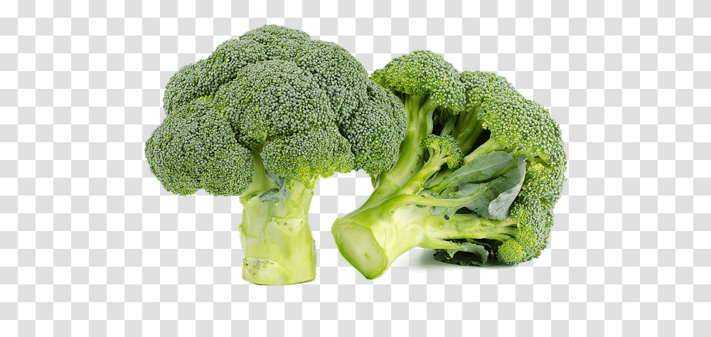 Broccoli Green Food, Plant, Vegetable Transparent Png