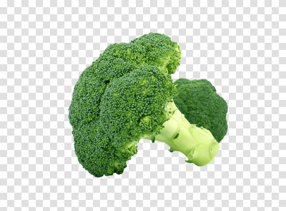 Broccoli Hd Broccoli Transparent Png