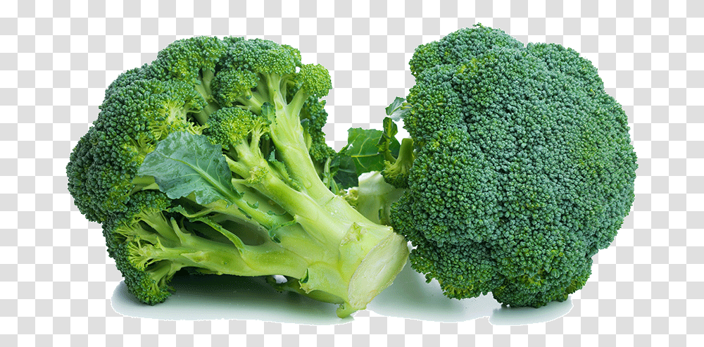 Broccoli Health Benefits, Vegetable, Plant, Food Transparent Png
