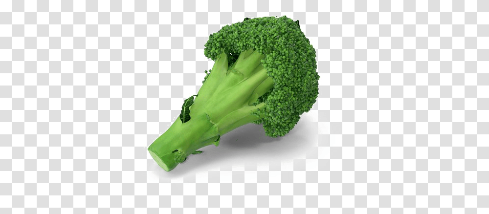 Broccoli Image Broccoli, Plant, Vegetable, Food Transparent Png
