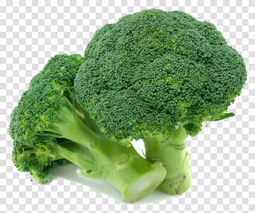 Broccoli Images Free Download Broccoli, Vegetable, Plant, Food Transparent Png