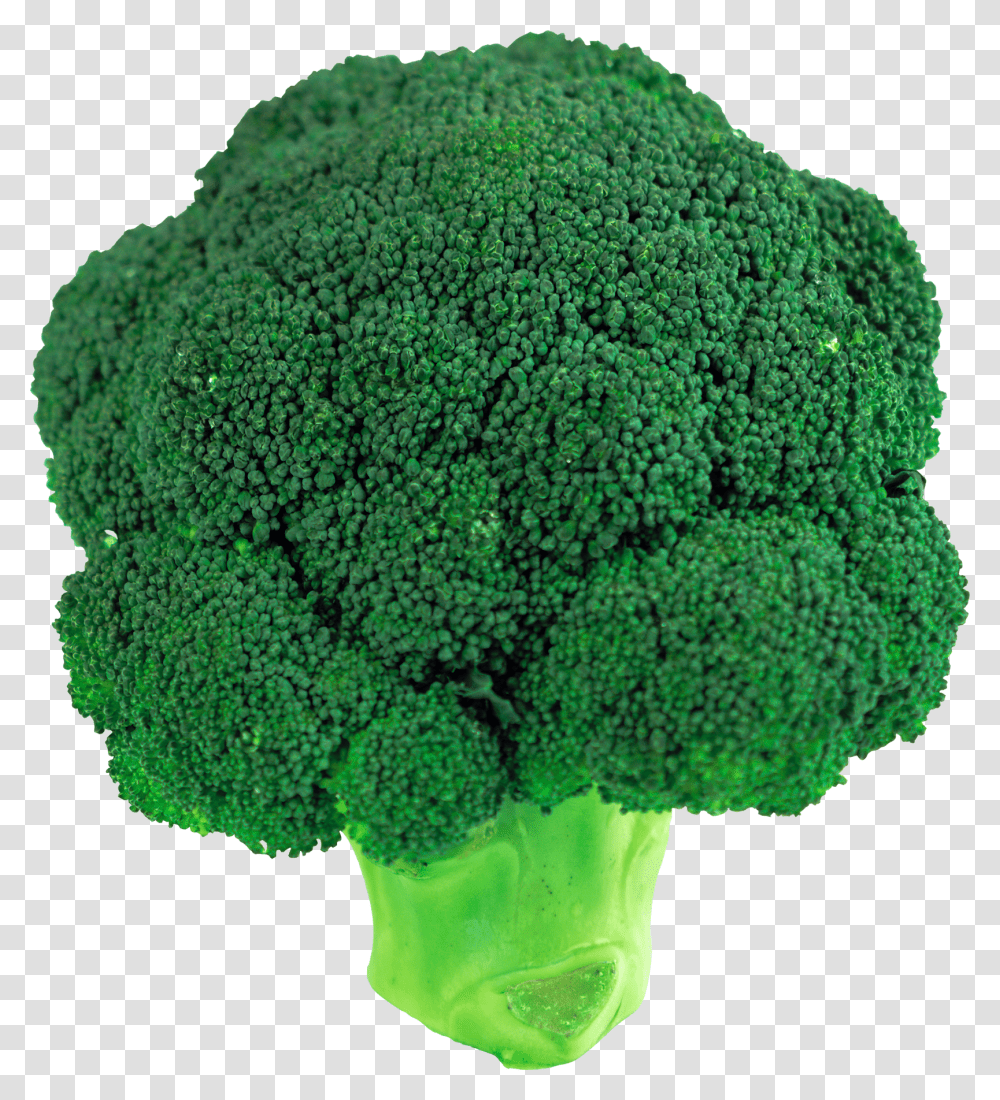 Broccoli Leaf Vegetable Clip Art Clipart Background Broccoli, Plant, Food, Rug Transparent Png