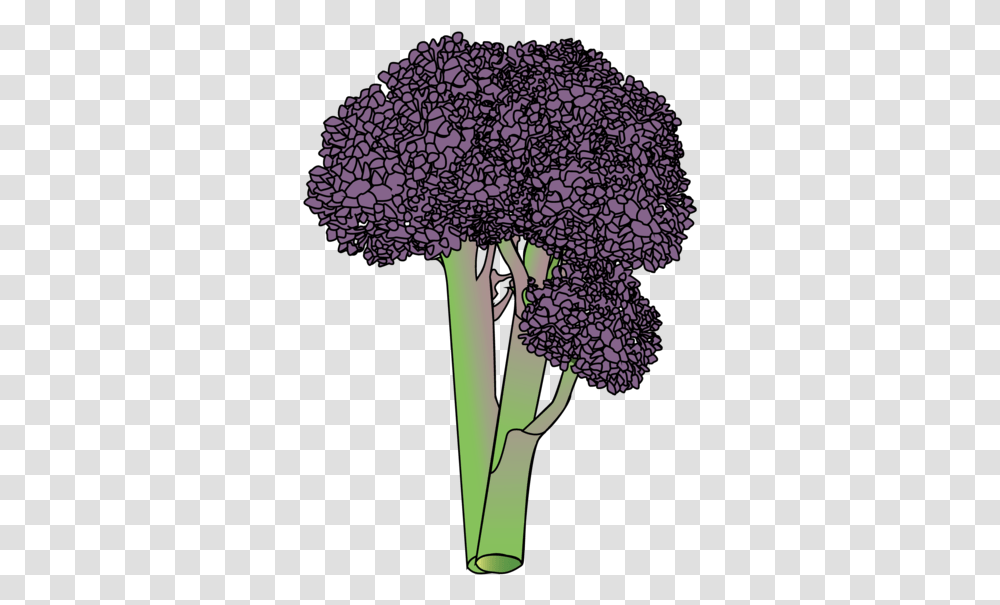 Broccoli Lifespace Gardens Bouquet, Plant, Vegetable, Food, Cauliflower Transparent Png