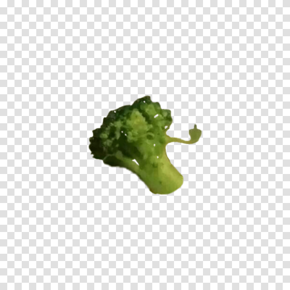Broccoli Maybe Your Broccoli Doesn T Like You Either, Plant, Vegetable, Food Transparent Png